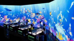 搭建沉浸式体验科技馆多媒体设备如何选型