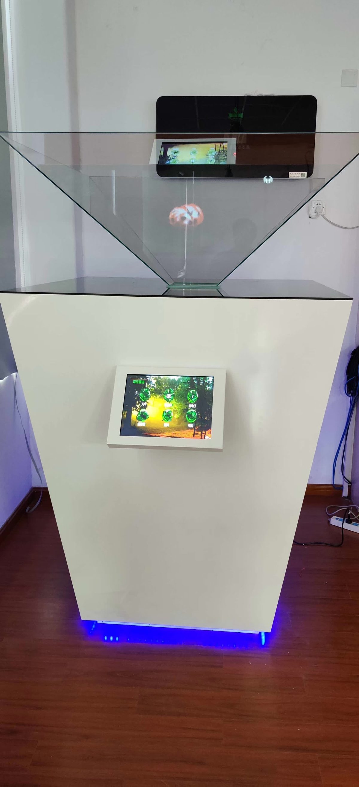 上海市闵行区七宝明强第二小学上海明强二小科技展厅 昆虫生物展厅多媒体设备 镜面屏 全息一体机 — 现场照片 2