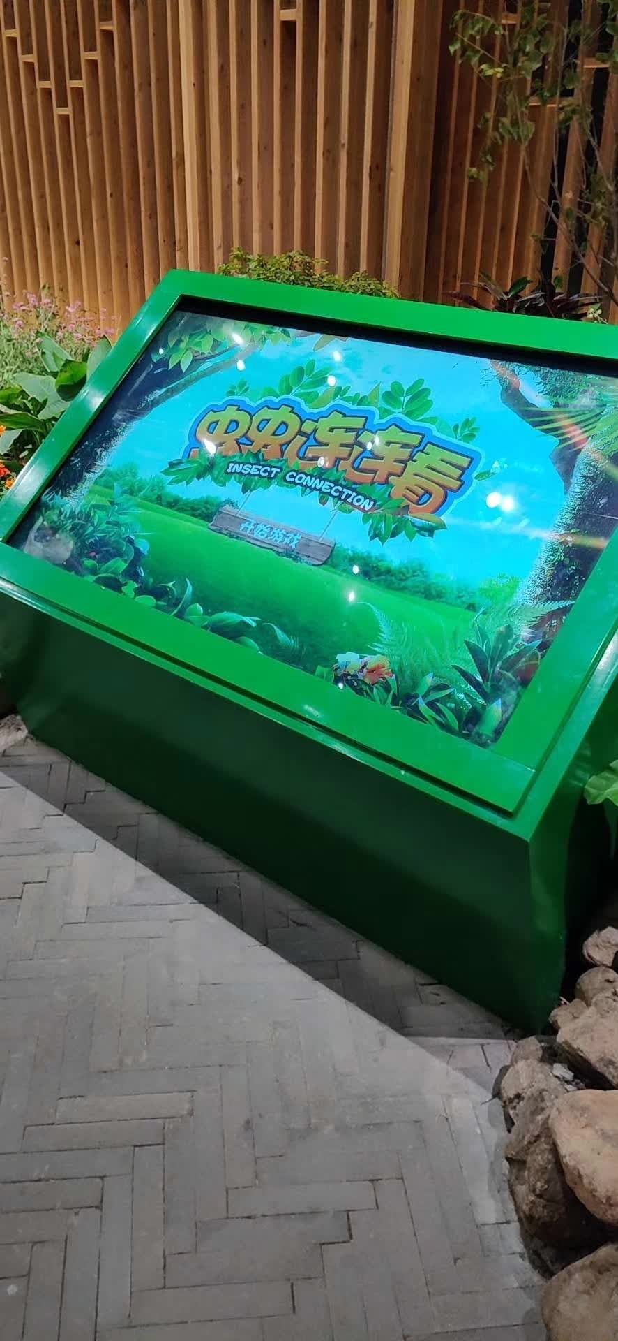 上海市闵行区七宝明强第二小学上海明强二小科技展厅 昆虫生物展厅多媒体设备 镜面屏 全息一体机 — 现场照片 3