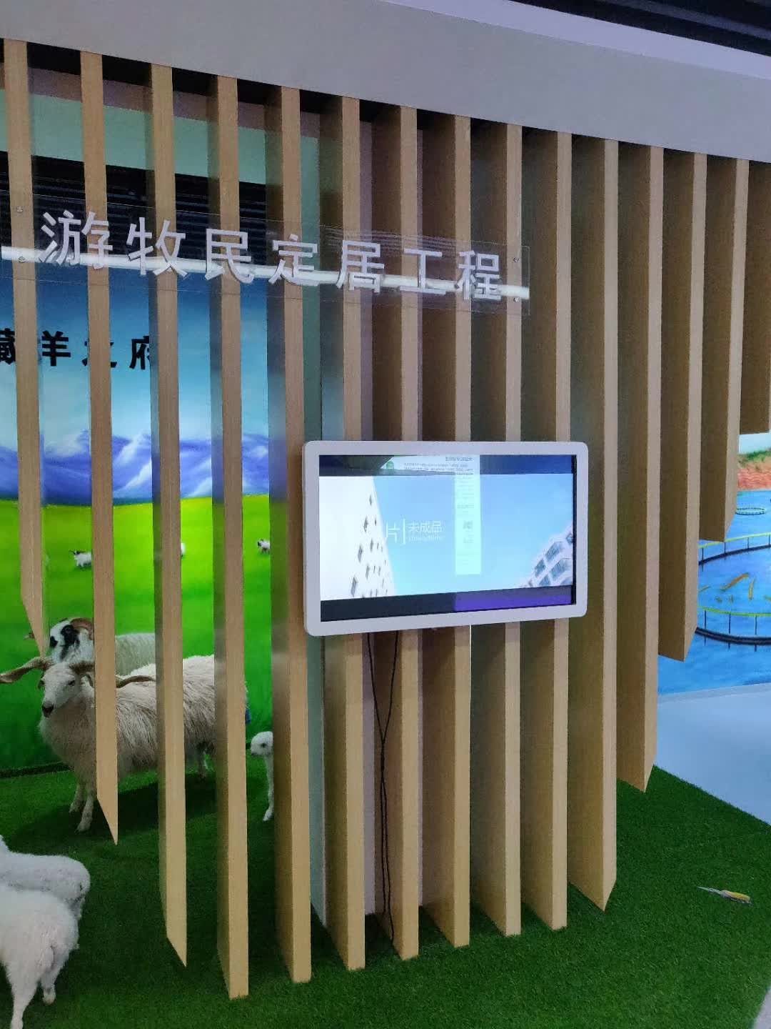 青海省农牧厅青海农牧厅 滑轨墙 3d影院 全息投影 — 现场照片 7